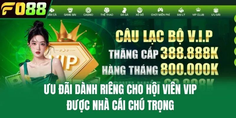 Ưu đãi dành riêng cho hội viên VIP được nhà cái chú trọng